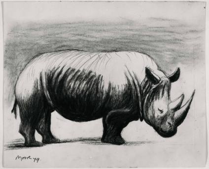 Rhino: Profile to Right