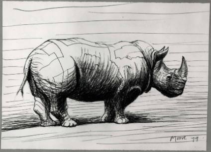 Rhinoceros: Profile to Right