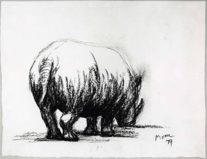 Rhinoceros: Three-Quarter Back View