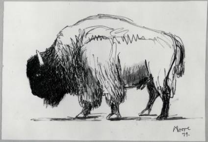 Bison in Profile to Left