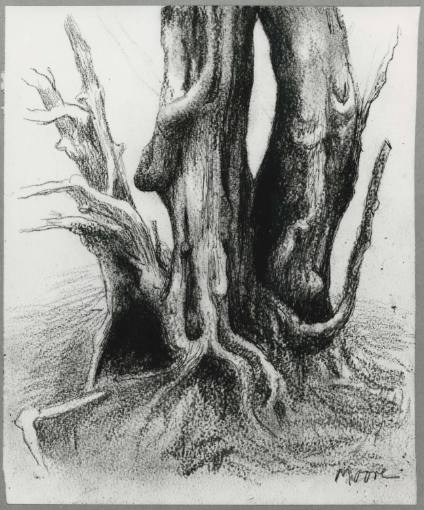 Tree Trunks II