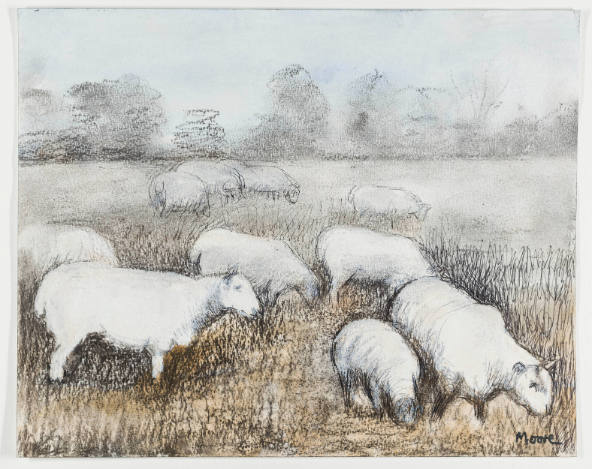 Ten Sheep