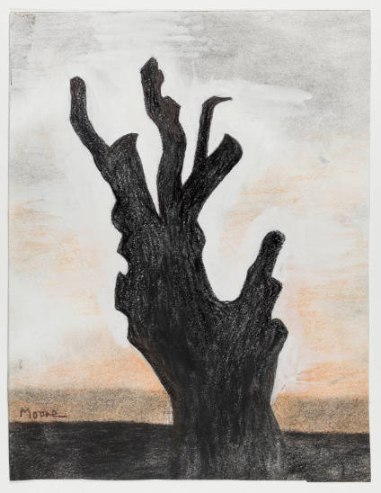Tree Trunk in Silhouette