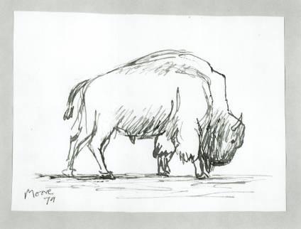 Bison in Profile to Right