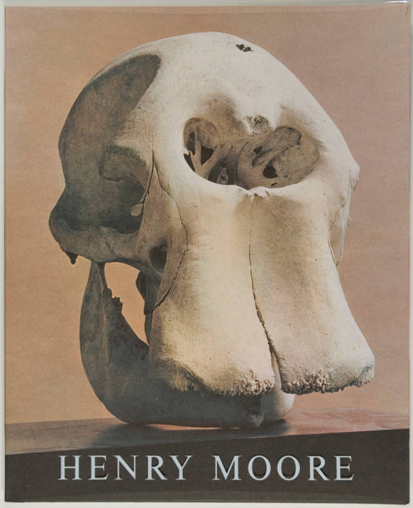 Henry Moore: Elephant Skull