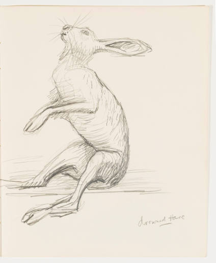 Drowned Hare