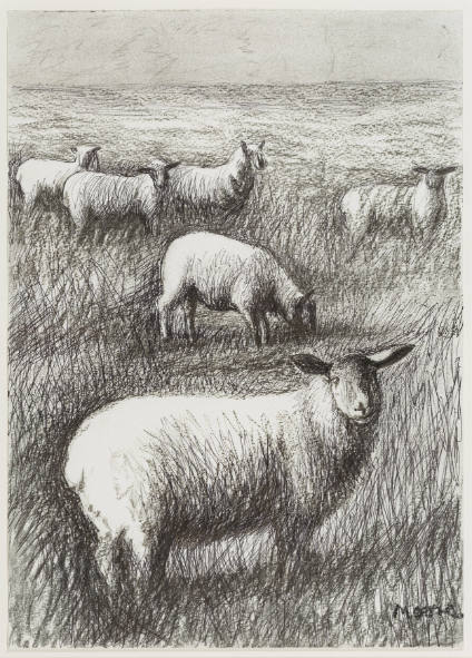 Six Sheep in a Field