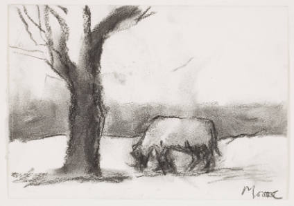 Cow in Landscape