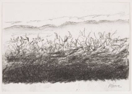 Landscape with Hedge