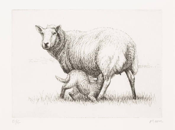 Sheep with Lamb I