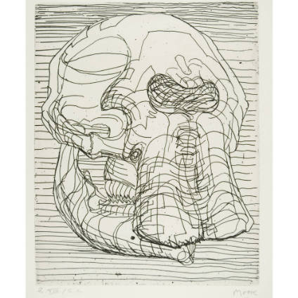 Elephant Skull, Plate XIV