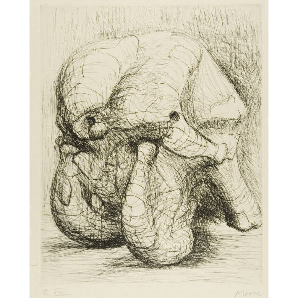 Elephant Skull, Plate XXIII