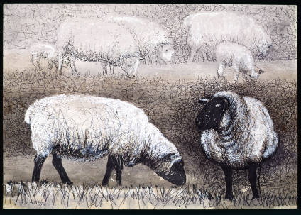 Studies of Sheep II