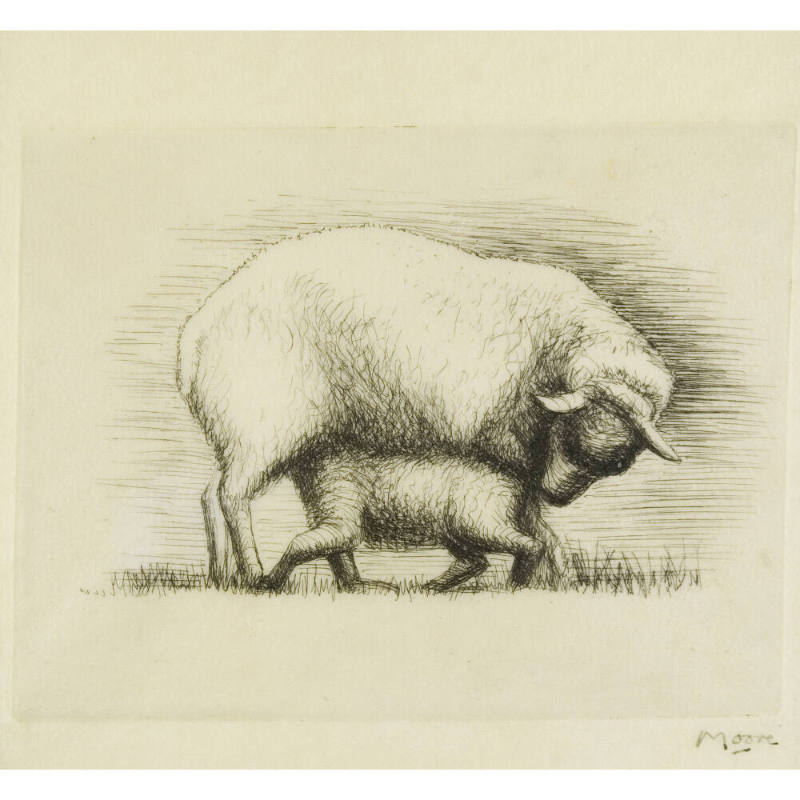 Sheep with Lamb IV