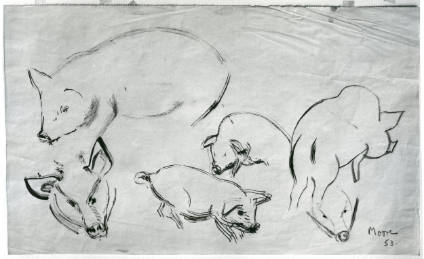 Animal Drawing: Pigs