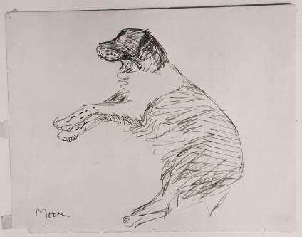 The Artist's Dog Fawkes