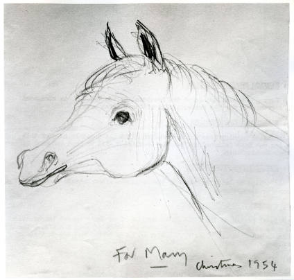 Animal Drawing: Horse's Head