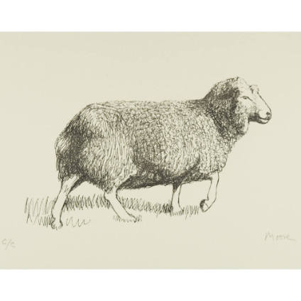 Sheep Walking