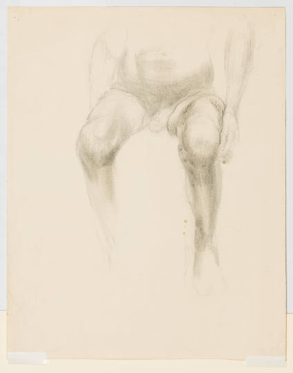 Seated Male Nude: Torso