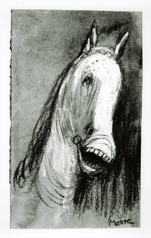 Horse's Head