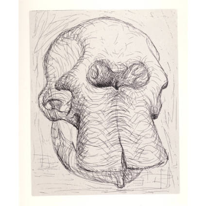 Elephant Skull, Plate I