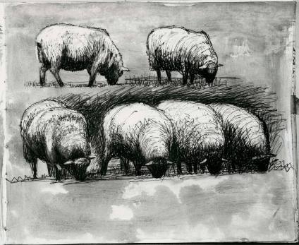 Six Sheep Grazing