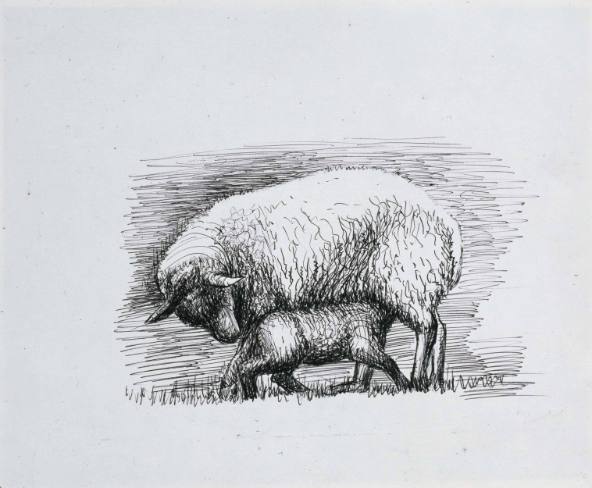 Sheep with Lamb IV