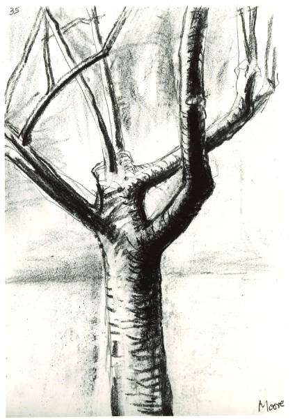 Tree with Bare Branches