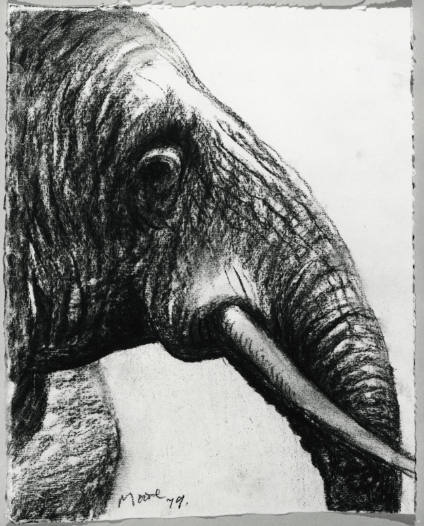Elephant Head: Detail to Right