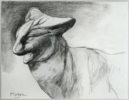 Head of Lynx (Study after Persian Sculpture)
