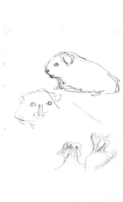 Animal Drawings and Two Heads