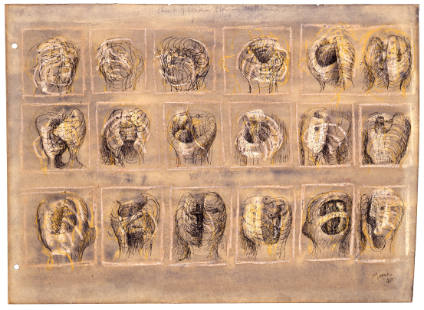 Sheet of Heads Showing Sections
