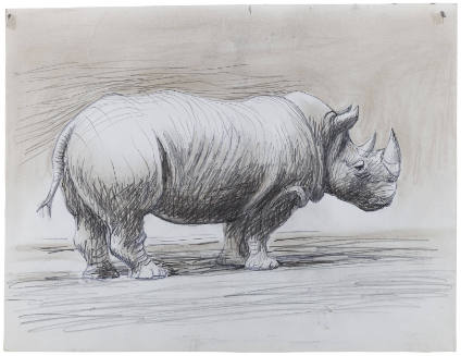 Rhinoceros: Profile Right