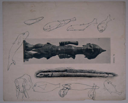 Sketches of fish on book plate