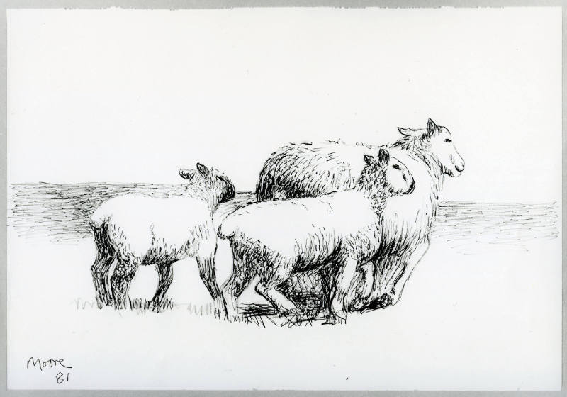 Sheep and Two Lambs