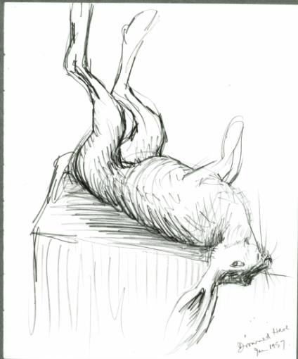 Drowned Hare