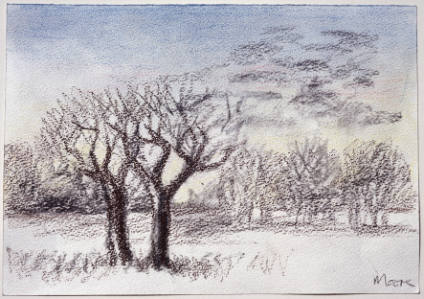 Orchard in Winter