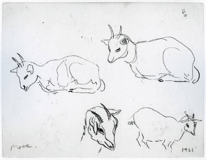 Studies of Goats
