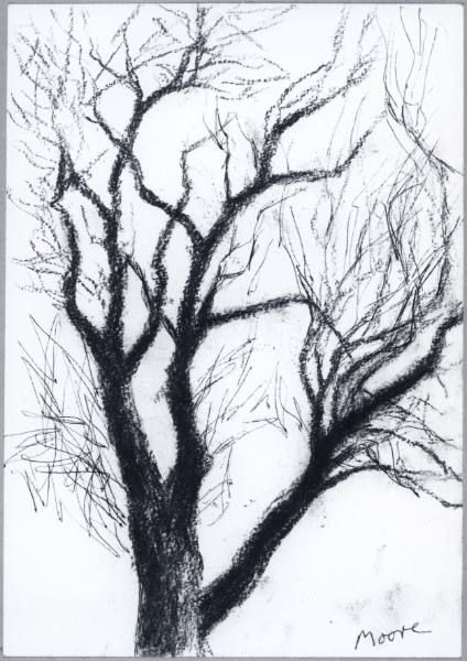 Tree in Winter