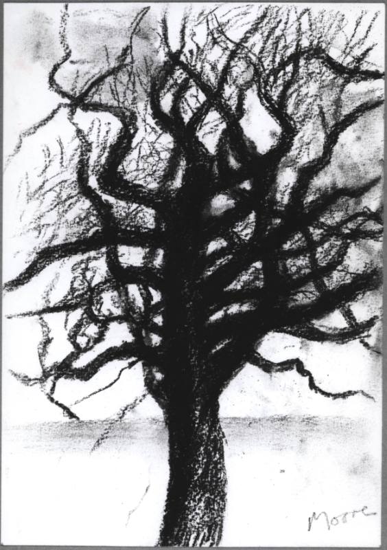 Tree in Winter VII