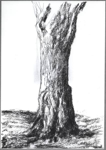 Tree Trunk I