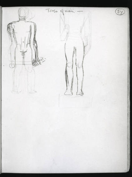 Studies of a Male Nude