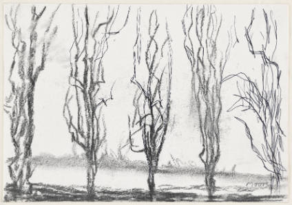 Five Upright Trees