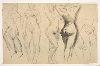 Seven Studies of a Female Nude