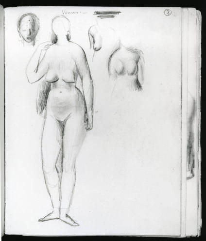Standing Female Nude and other Studies