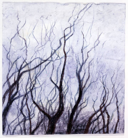 Bare Branches: Trees in Winter