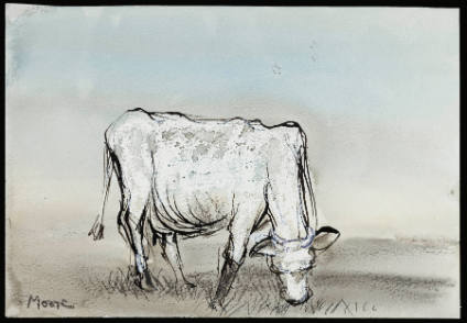 Cow