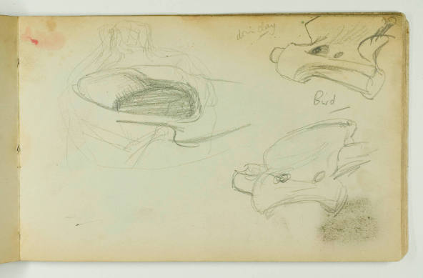 Transformation Drawing: Bone Forms