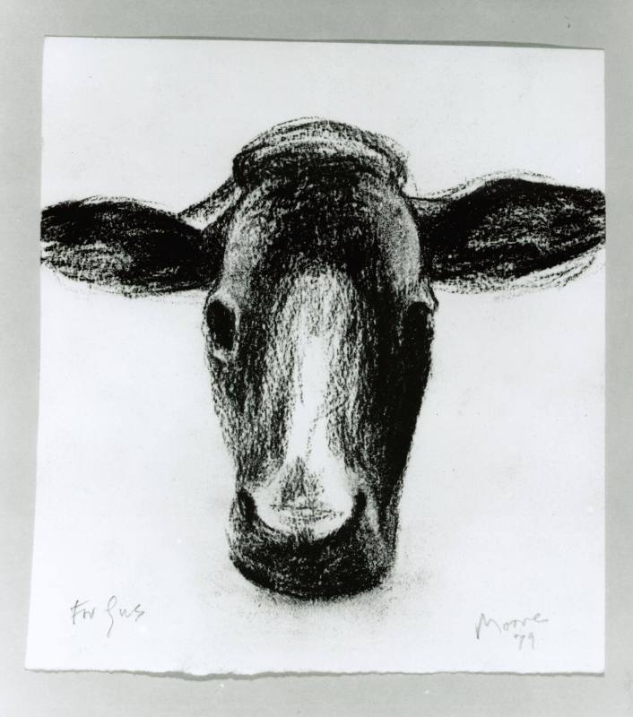 Head of Calf