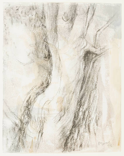 Transformation Tree